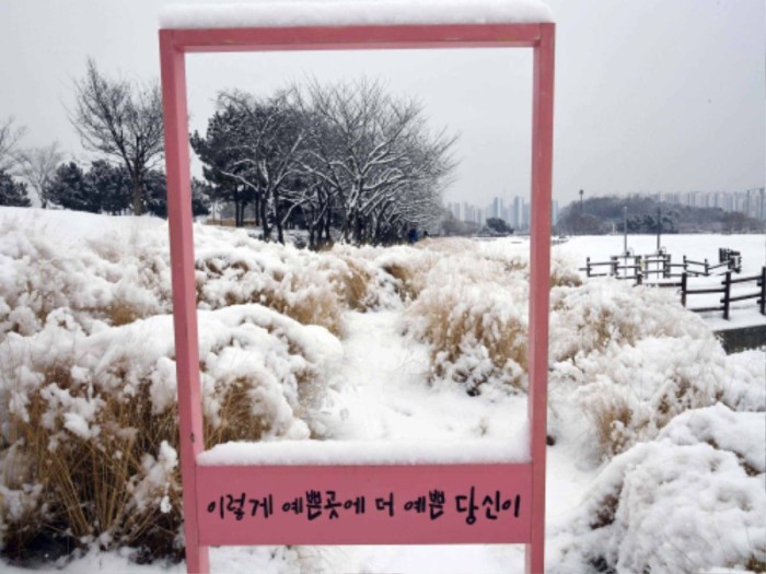 포토뉴스_k-시흥시 갯골생태공원에 펼쳐진 설경1.jpg