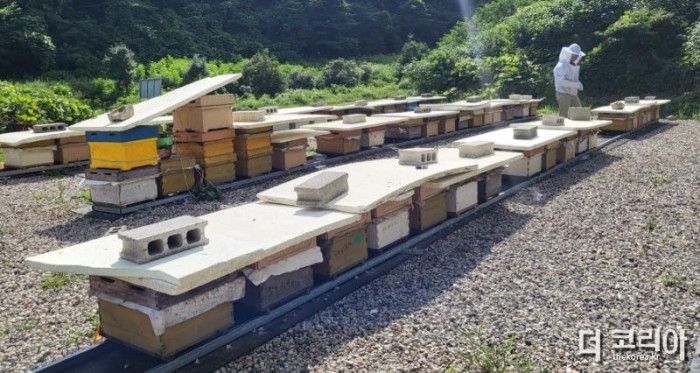보도사진(1)-함평군, “꿀벌 질병 예방” 양봉농가에 방역 약품 공급.jpg