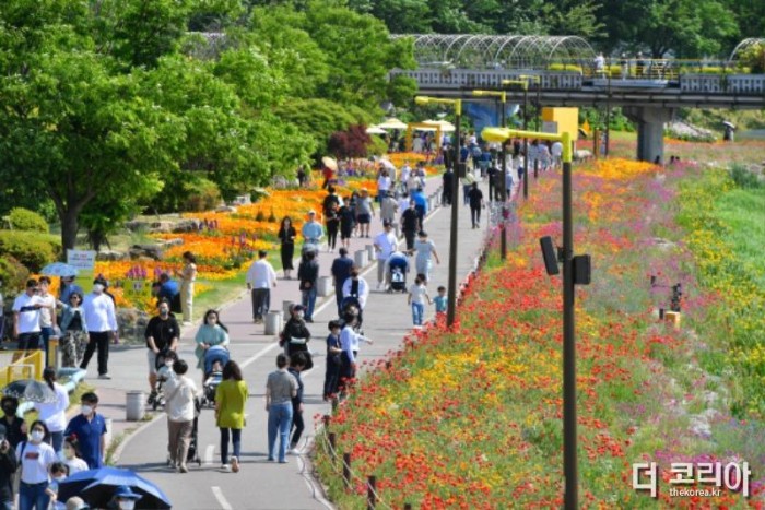 ‘장성 황룡강 洪(홍)길동무 꽃길축제’가 오는 5월 19일부터 21일까지 3일간 열린다 (2).JPG