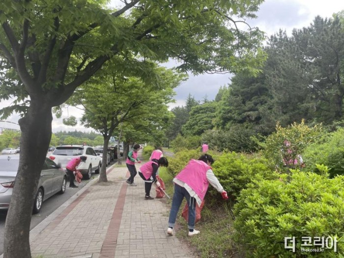금호동 주민자치위원회, 주요도로변 환경정화활동 실시 - 금호동 2.jpg