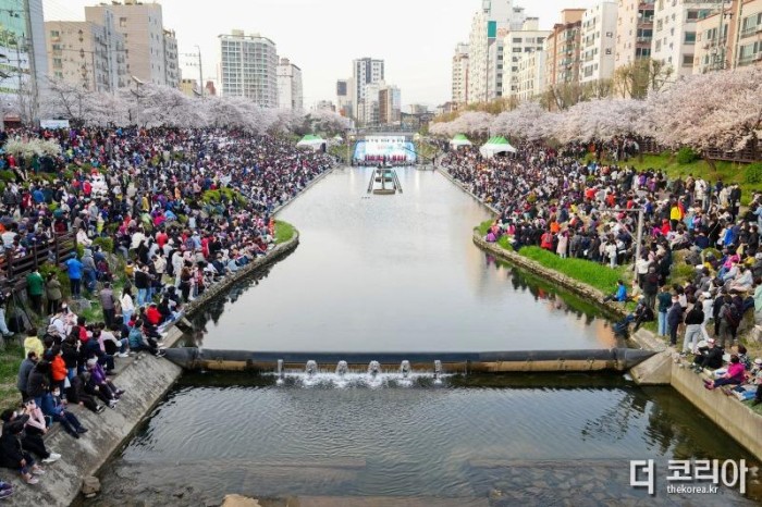 1-“불광천에서 벚꽃축제 열어요”…‘은평의 봄’ 개최1.jpg