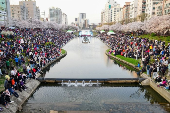 1-“불광천에서 벚꽃축제 열어요”…‘은평의 봄’ 개최1.jpg