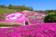 산청 생초국제조각공원 꽃잔디 축제