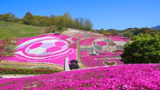 산청 생초국제조각공원 꽃잔디 축제