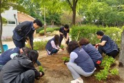 연수구 동춘2동 주민자치회, 봄꽃 나무 심기 행사