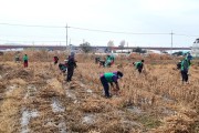 사천시 용현면 새마을회, 올해도 이웃돕기 위한 콩수확 완료