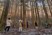 광주 동구, 자연에서 배우는 오감 교육, ‘무등산 숲 학교’ 성료