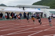 완도교육청, 2024학년도 교육장배 학년별 육상 경기대회 개최