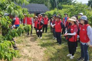 충북교육청, 농촌봉사활동 전개하여 이웃사랑 실천