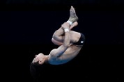 [도쿄올림픽] 다이빙 남자 10m 플랫폼 준결승 시작