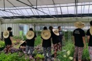 장수군 로컬JOB센터, 대학생 농촌봉사활동 진행