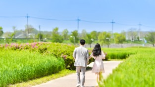 함안군, 제1회 칠서 생태공원 청보리·작약 축제 개최