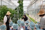 광양시 어린이급식관리지원센터, ‘흙에서 배우는 식사’ 프로그램 운영