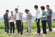 함평군, 논콩 재배지 침수 피해 현장 점검