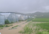 양평군, 집중호우로 인한 농경지 피해 심각한 것으로 나타나