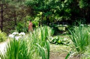 다랑논에서 정원으로 ‘향기로운 변신’, 남해 섬이정원