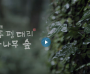 한국의 아름다운 자연유산 - 제주 비자나무 숲