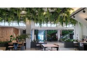 고성군청소년센터“온”, 공기정화 식물 ‘실내정원’으로 새롭게 변신