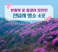 분홍빛 꽃 물결이 장관인 진달래 명소 4곳