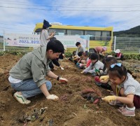 충청북도교육청 유아교육진흥원, 2023. 기후위기 대응 생태체험  꼬마농부들의 ‘고구마 수확 현장’